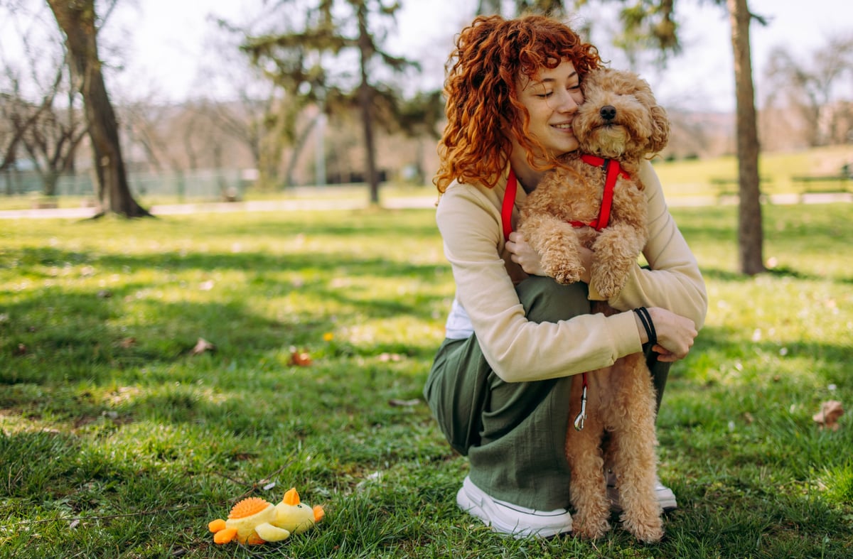 Happy dog and owner together during a meet and greet