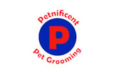 Petnificent Pet Grooming logo with blue circle and red P initial on white background
