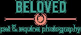 Beloved pet and equine photography logo with turquoise text and a paw print icon